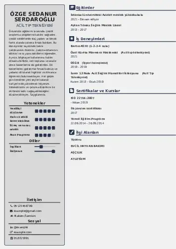 Acil Tıp Teknisyeni CV Örnekleri cv indir